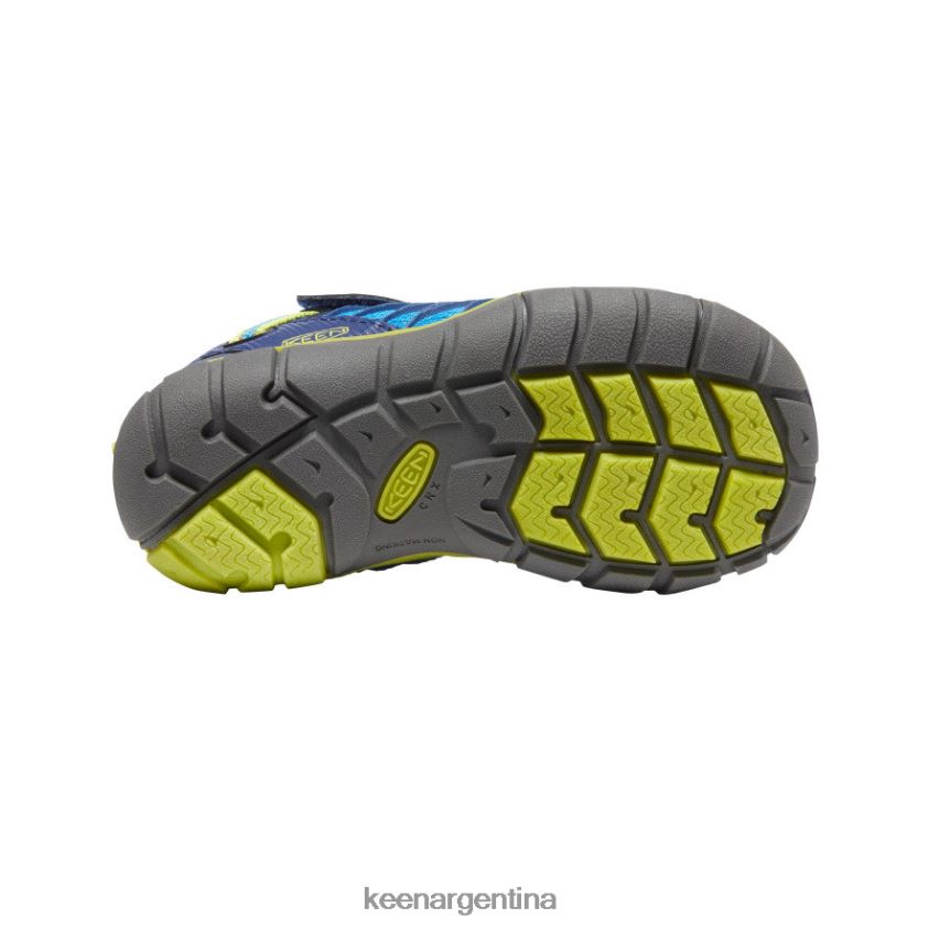 azul brillante / profundidades azules calzado KEEN chandler cnx T0822B888 pequeños niños - Imagen 4