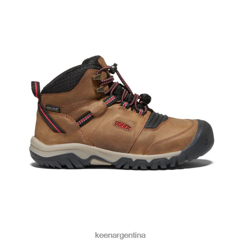 bisonte_alfombra_roja_calzado_keen_bota_impermeable_ridge_flex_t0822b946_ninos_grandes.jpg bisonte/alfombra roja calzado KEEN bota impermeable ridge flex T0822B946 niños grandes - Imagen 1