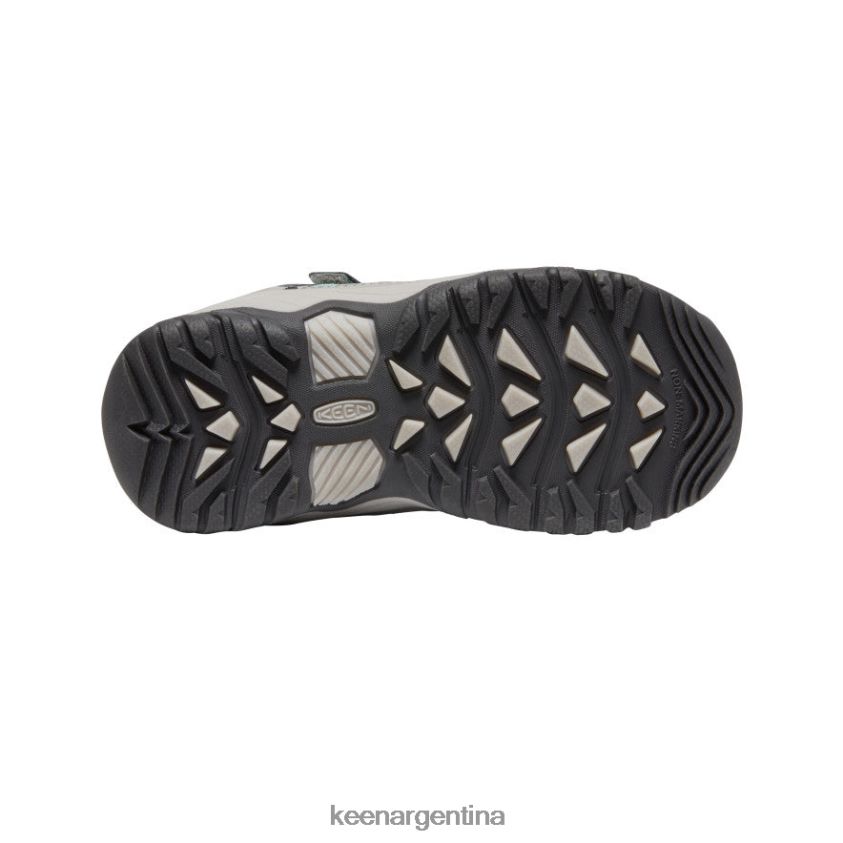 cascada/vapor calzado KEEN zapato deportivo targhee T0822B782 pequeños niños - Imagen 4