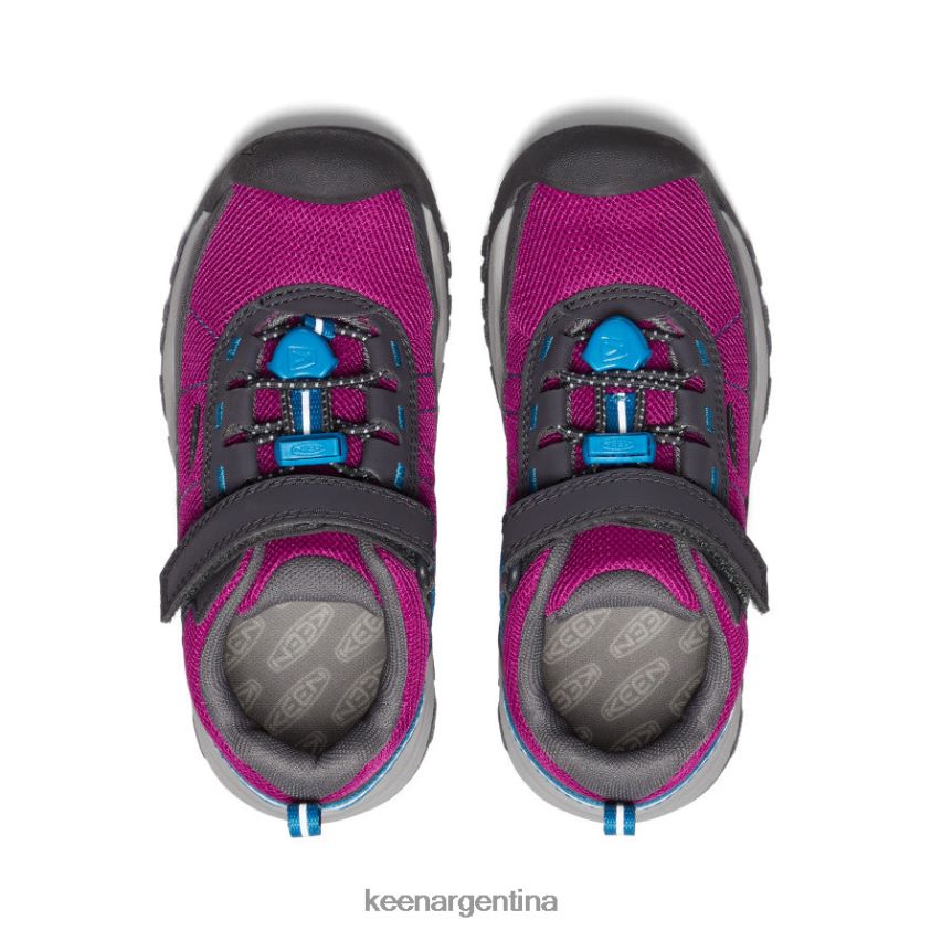 festival fucsia/imán calzado KEEN zapato deportivo targhee T0822B785 pequeños niños - Imagen 4
