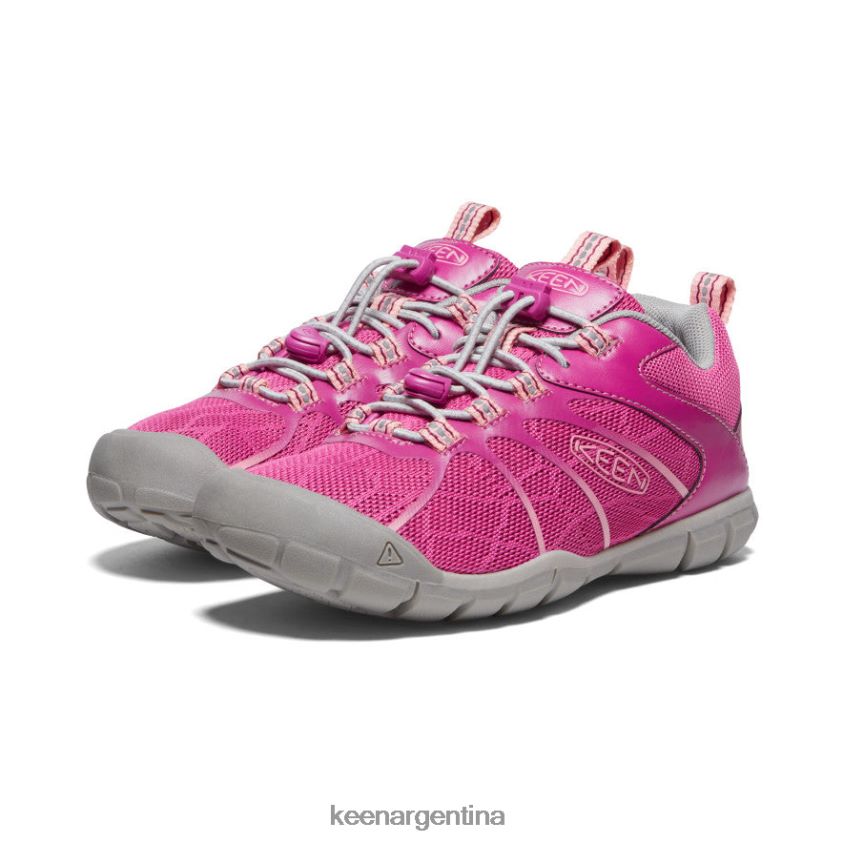 festival fucsia/rosa ibis calzado KEEN zapatillas chandler 2 cnx T0822B883 niños grandes - Imagen 2