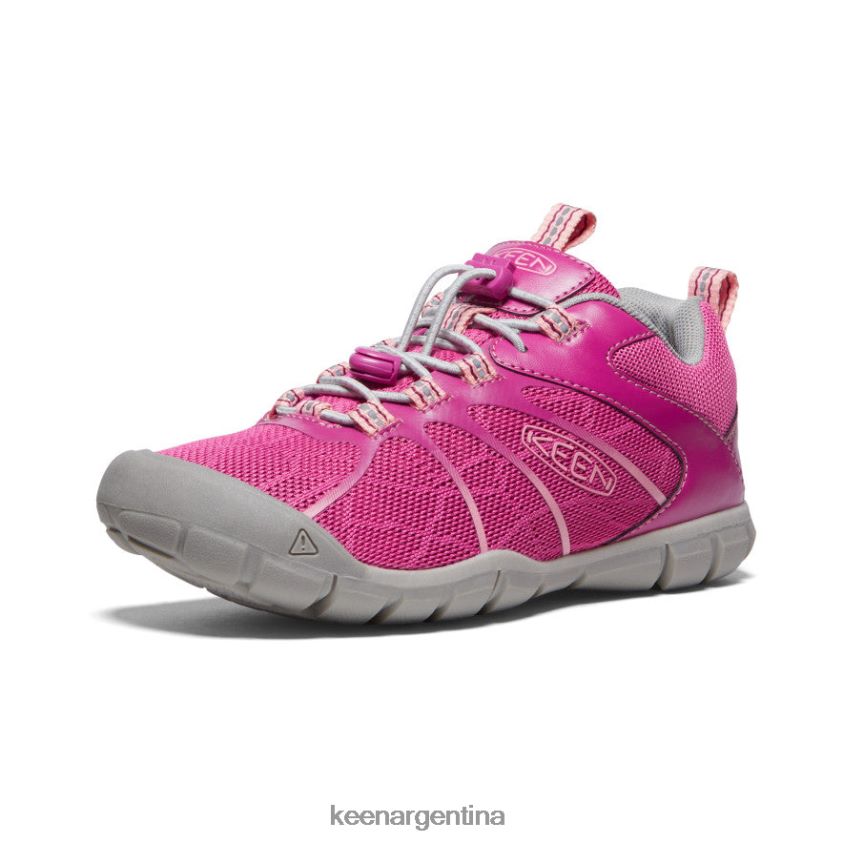festival fucsia/rosa ibis calzado KEEN zapatillas chandler 2 cnx T0822B883 niños grandes - Imagen 3