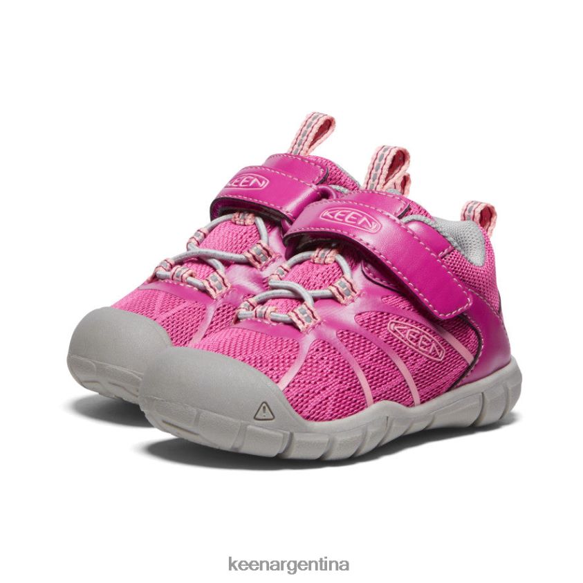 festival fucsia/rosa ibis calzado KEEN zapatillas chandler 2 cnx T0822B884 niños pequeños - Imagen 2