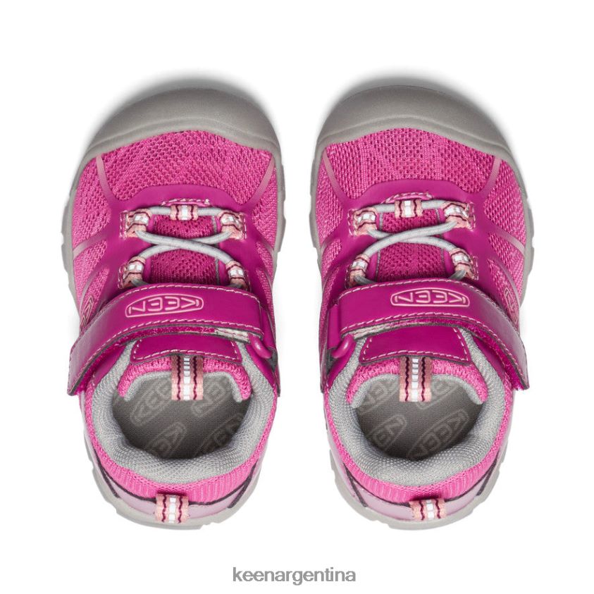festival fucsia/rosa ibis calzado KEEN zapatillas chandler 2 cnx T0822B884 niños pequeños - Imagen 4