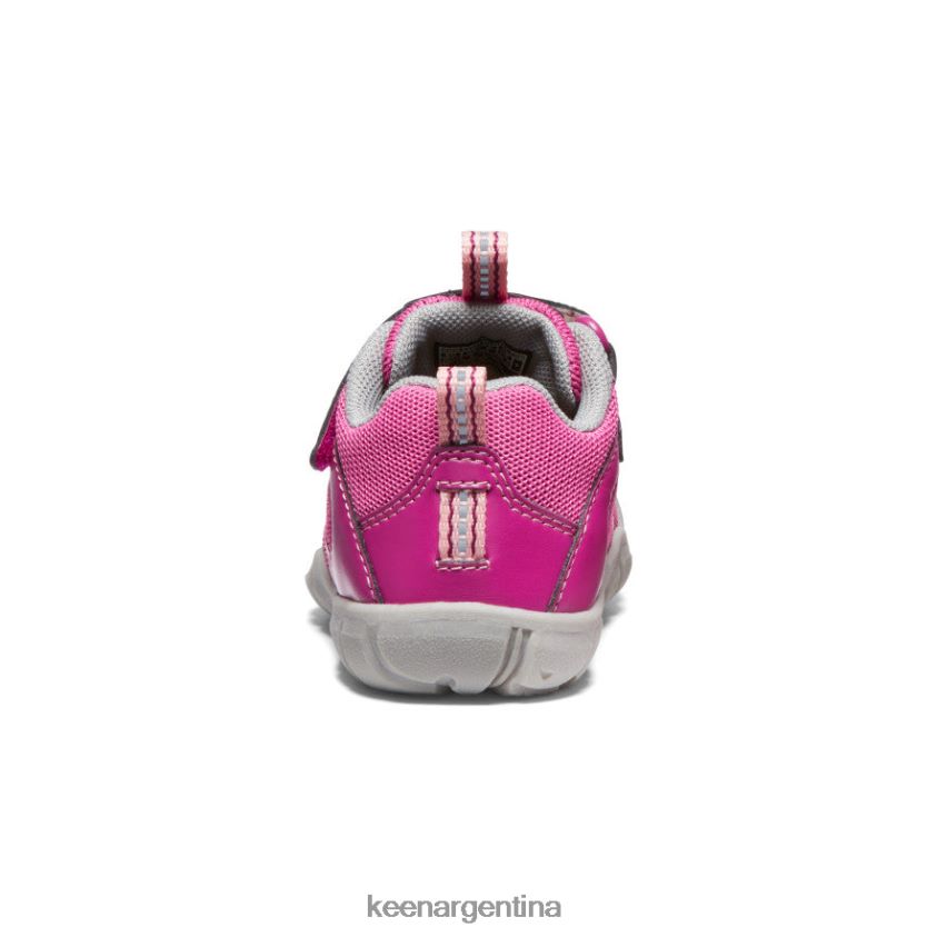 festival fucsia/rosa ibis calzado KEEN zapatillas chandler 2 cnx T0822B884 niños pequeños - Imagen 5