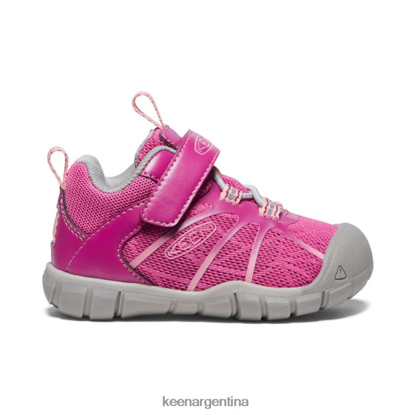 festival_fucsia_rosa_ibis_calzado_keen_zapatillas_chandler_2_cnx_t0822b884_ninos_pequenos.jpg festival fucsia/rosa ibis calzado KEEN zapatillas chandler 2 cnx T0822B884 niños pequeños - Imagen 1