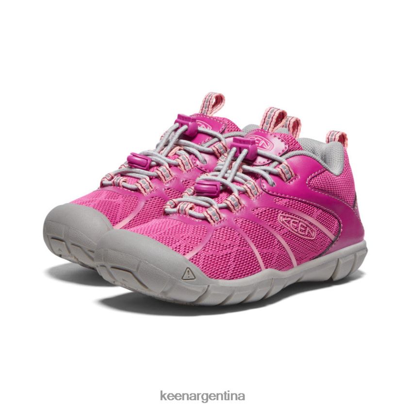 festival fucsia/rosa ibis calzado KEEN zapatillas chandler 2 cnx T0822B902 pequeños niños - Imagen 2