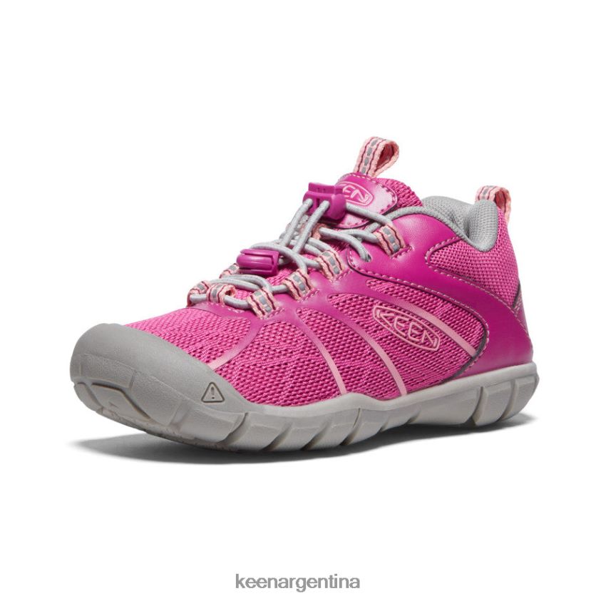 festival fucsia/rosa ibis calzado KEEN zapatillas chandler 2 cnx T0822B902 pequeños niños - Imagen 3