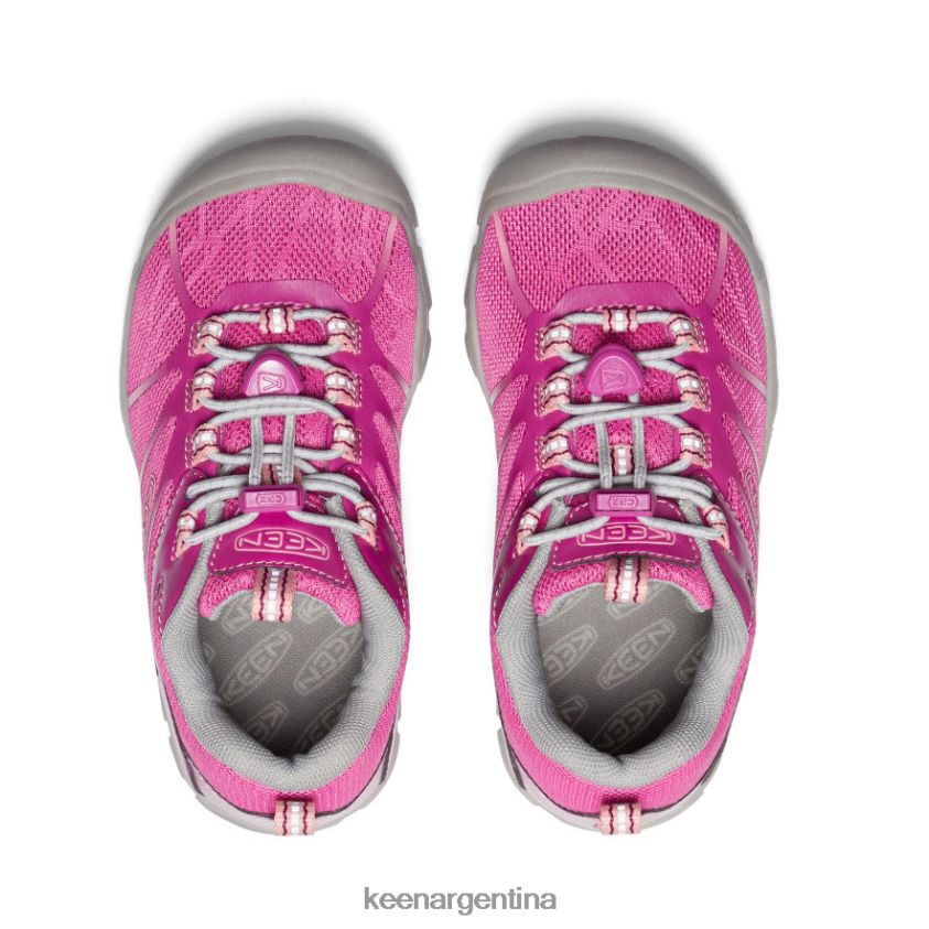 festival fucsia/rosa ibis calzado KEEN zapatillas chandler 2 cnx T0822B902 pequeños niños - Imagen 4