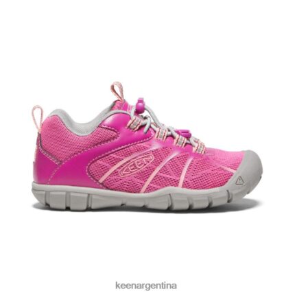 festival fucsia/rosa ibis calzado KEEN zapatillas chandler 2 cnx T0822B902 pequeños niños