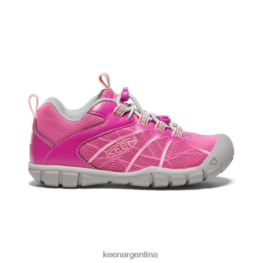festival fucsia/rosa ibis calzado KEEN zapatillas chandler 2 cnx T0822B902 pequeños niños - Imagen 1
