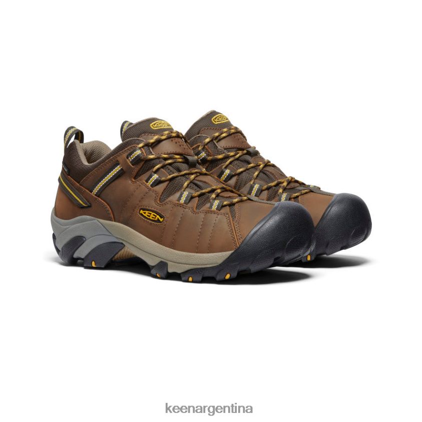 marrón cascada/amarillo dorado calzado KEEN targhee ii impermeable T0822B206 hombres - Imagen 2