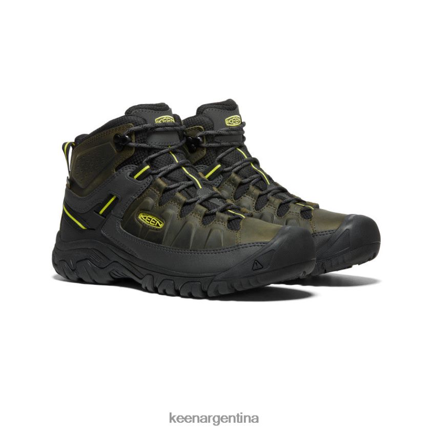 noche del bosque/onagra calzado KEEN targhee iii impermeable medio T0822B227 hombres - Imagen 2