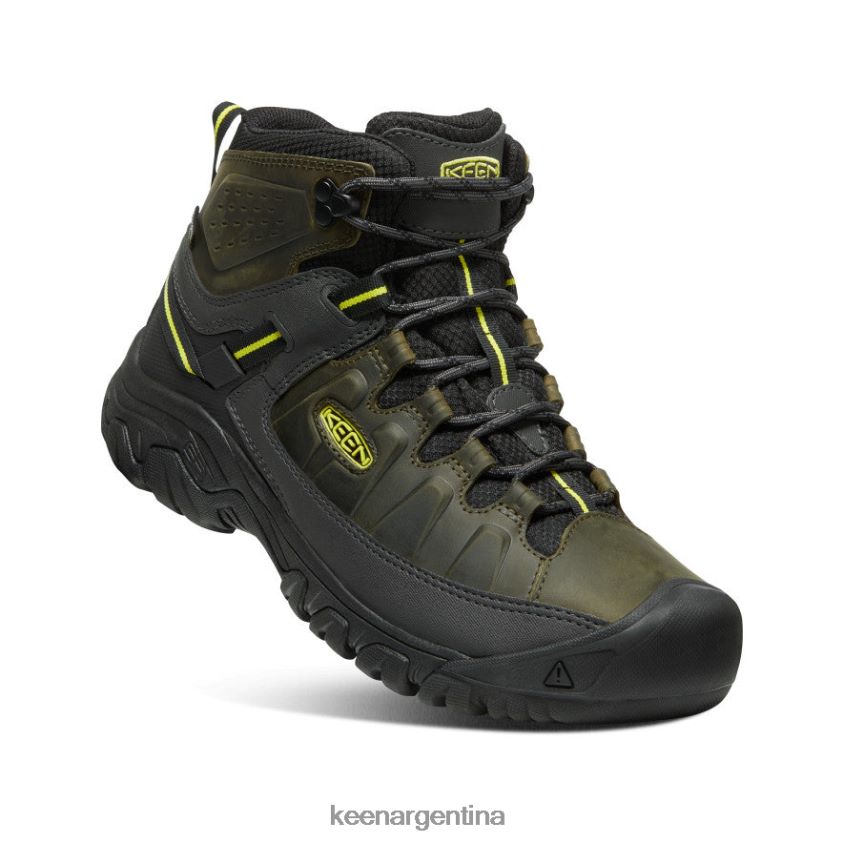 noche del bosque/onagra calzado KEEN targhee iii impermeable medio T0822B227 hombres - Imagen 3
