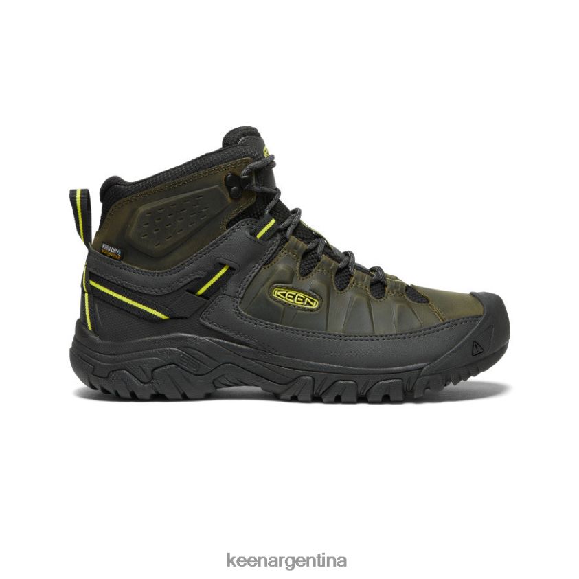 noche_del_bosque_onagra_calzado_keen_targhee_iii_impermeable_medio_t0822b227_hombres.jpg noche del bosque/onagra calzado KEEN targhee iii impermeable medio T0822B227 hombres - Imagen 1