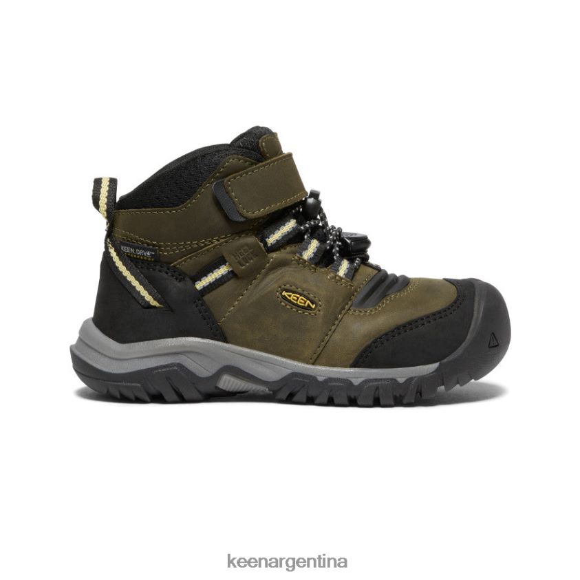 oliva oscuro/cidra oscura calzado KEEN bota impermeable ridge flex T0822B907 pequeños niños - Imagen 1