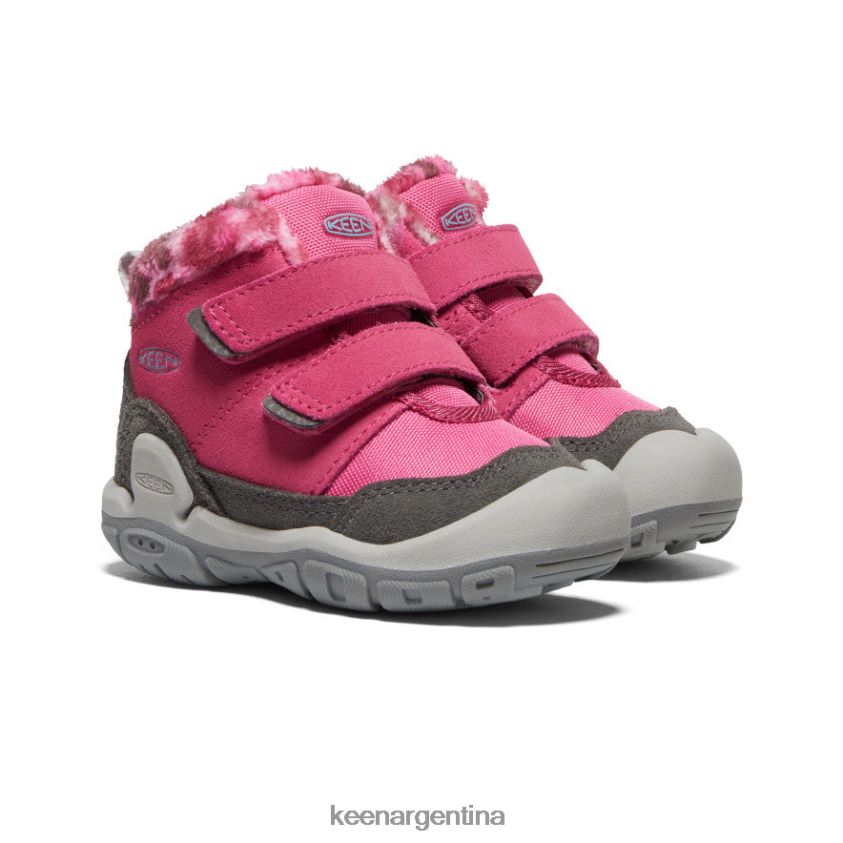 paloma de la fruta/negro calzado KEEN chukka con doble correa y nudo T0822B1013 niños pequeños - Imagen 2