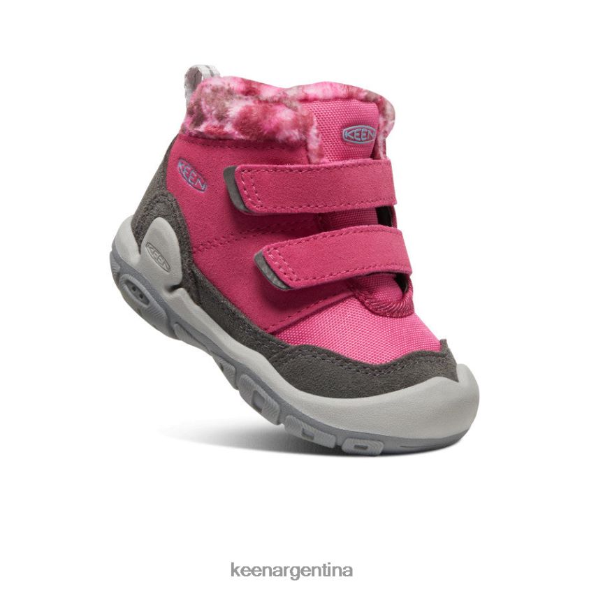 paloma de la fruta/negro calzado KEEN chukka con doble correa y nudo T0822B1013 niños pequeños - Imagen 3