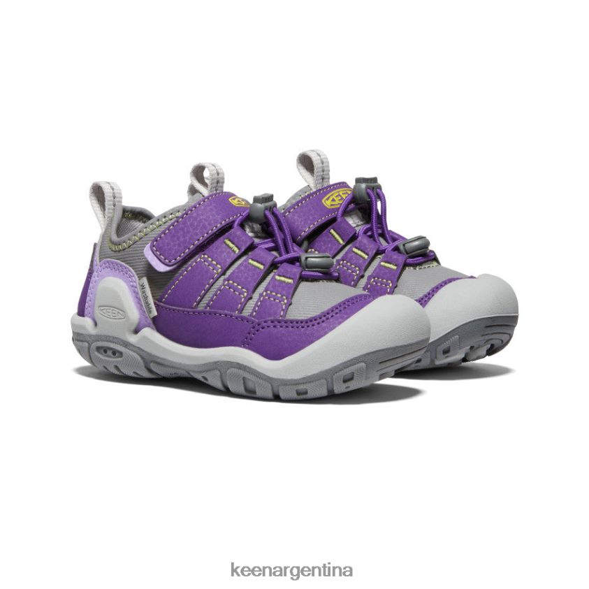 tilandsia violeta/onagra calzado KEEN zapatillas con nudo hueco T0822B909 niños grandes - Imagen 2