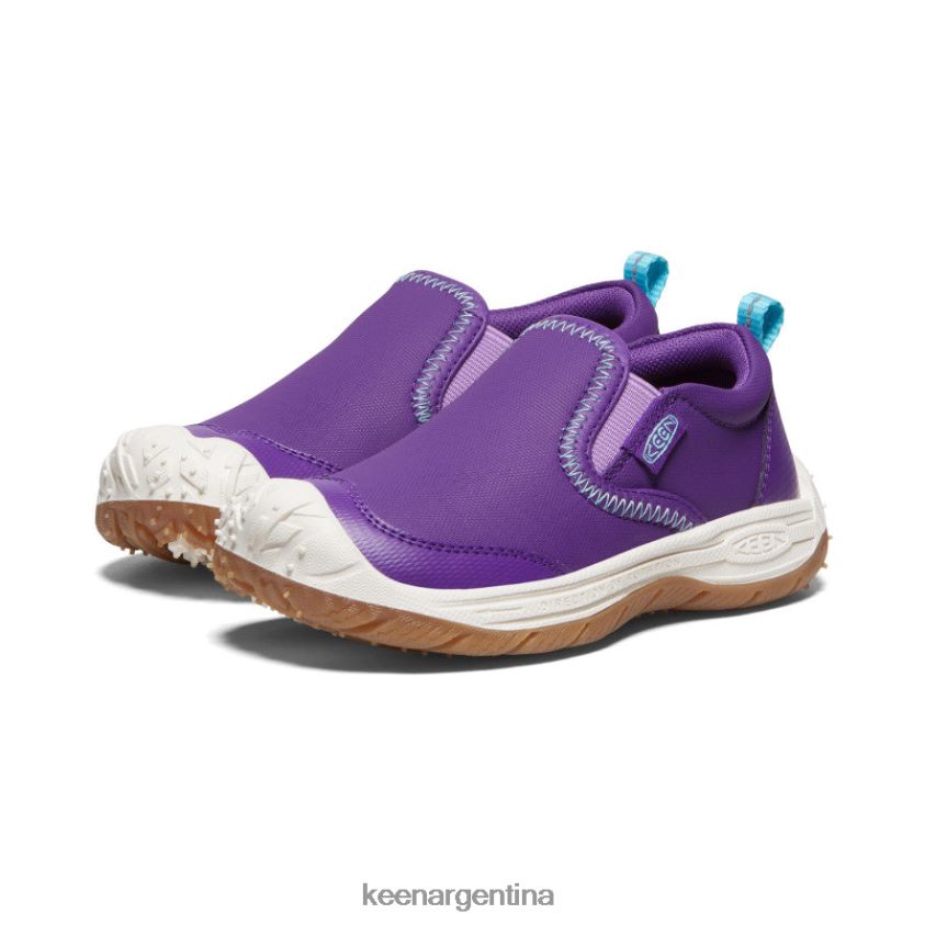 tillandsia púrpura/ipanema calzado KEEN perro de velocidad sin cordones T0822B715 pequeños niños - Imagen 2