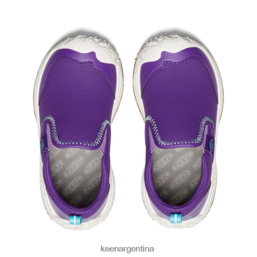 tillandsia púrpura/ipanema calzado KEEN perro de velocidad sin cordones T0822B715 pequeños niños - Imagen 4